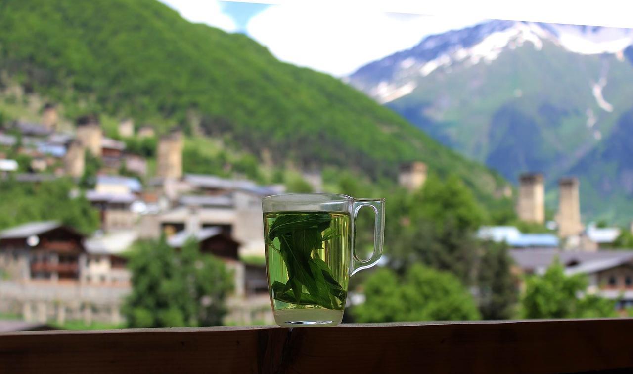 Travel Inn House Mestia • Მოგზაურის Სახლი Exterior photo